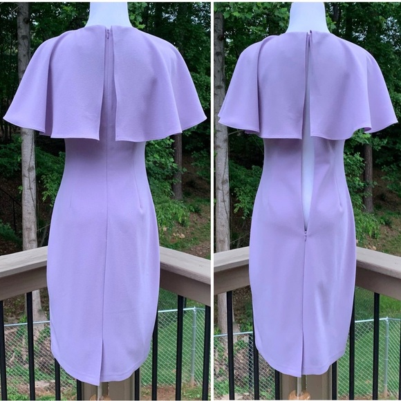 Vince Camuto Caplet Pleated Cape Collar Lilac Lavender Sheath Dress size 4 - Picture 8 of 11